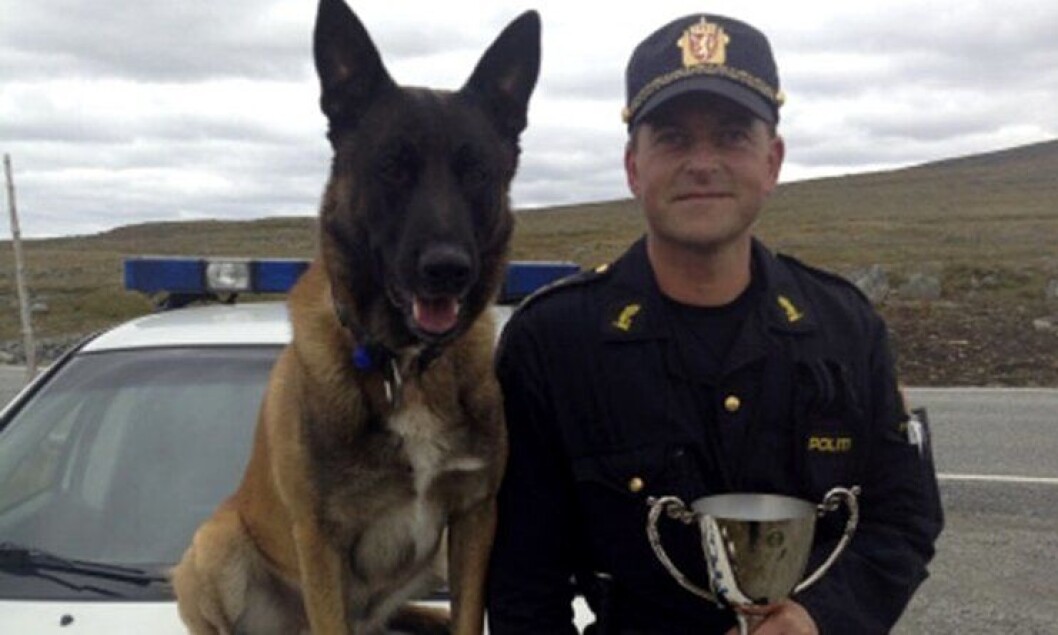 Vidar Neteland og hunden Aron vant Norgesmesterskapet i patruljehund 2013. Vidar Neteland og hunden Aron vant Norgesmesterskapet i patruljehund 2013.