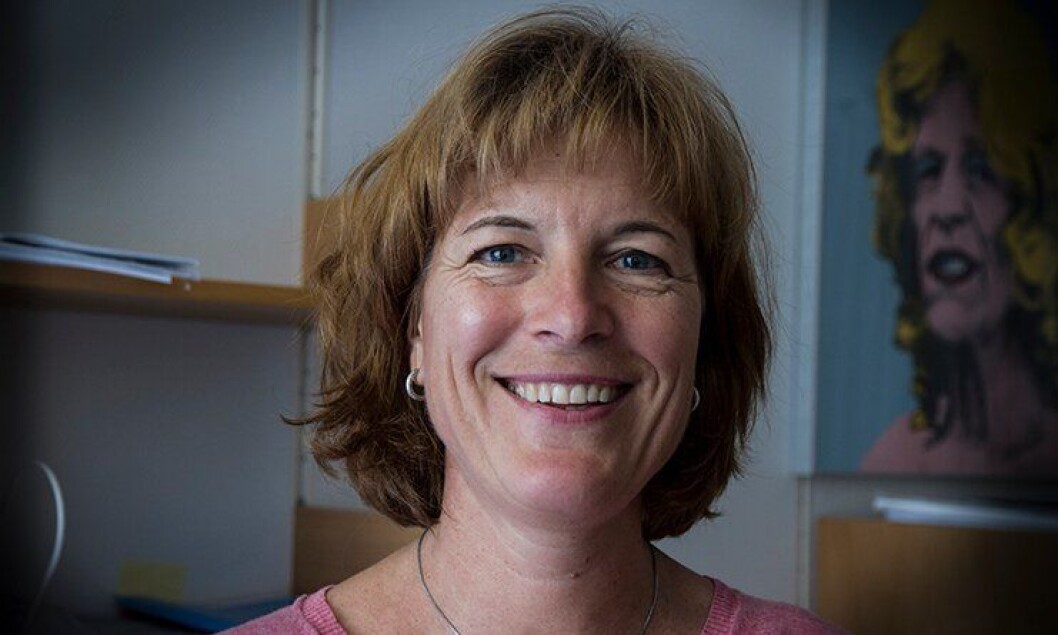 Forsker Inger Marie Sunde ved Politihøgskolen (PHS). Forsker Inger Marie Sunde ved Politihøgskolen (PHS).