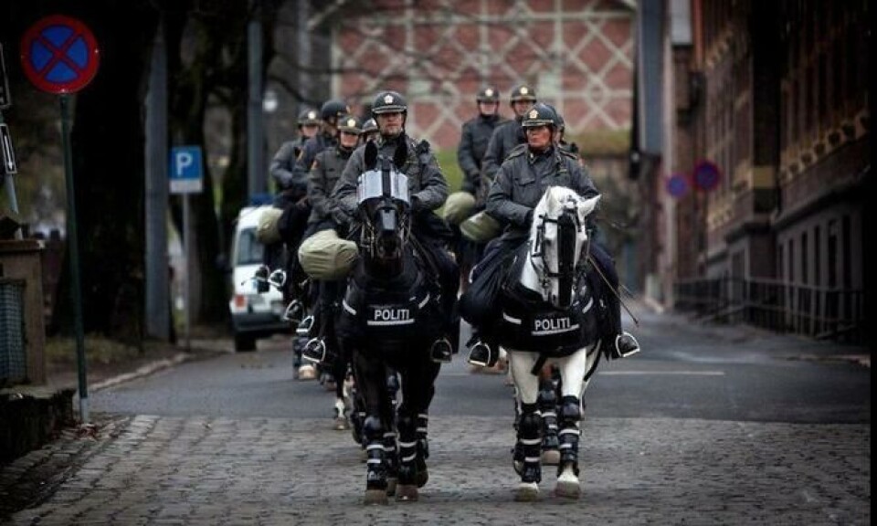 Politihester med verneutstyr Politihester med verneutstyr