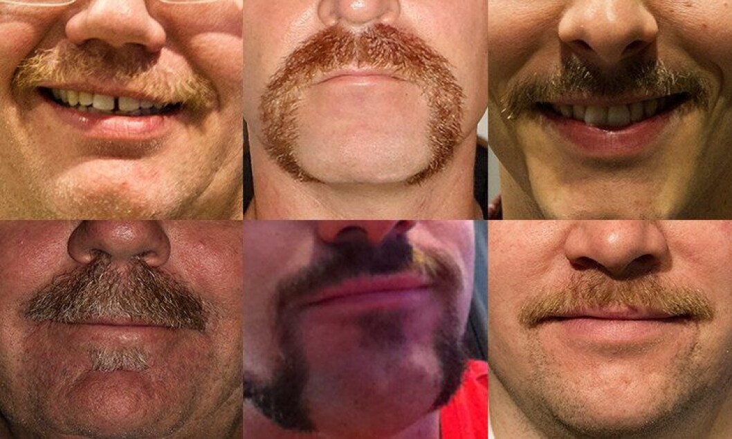 Mange politimenn sparer til politibarter under Movember-kampanjen - mens noen politibarter er permanente. Mange politimenn sparer til politibarter under Movember-kampanjen - mens noen politibarter er permanente.