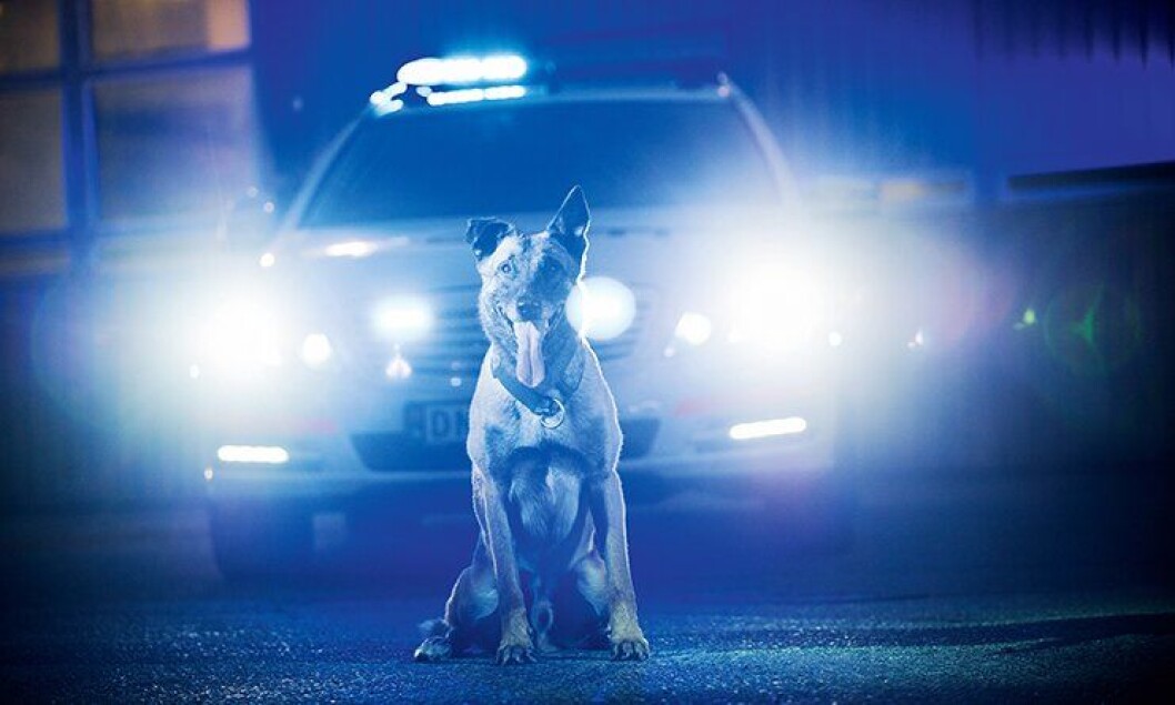 Politihunden Pelle og eieren vant saken i Oslo tingrett. Politihunden Pelle og eieren vant saken i Oslo tingrett.