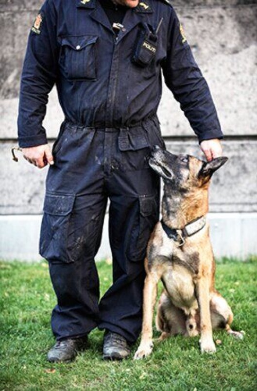 Politihunden Pelle og hans eier. Politihunden Pelle og hans eier.