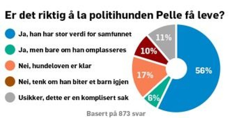 Pelle spørreundersøkelse