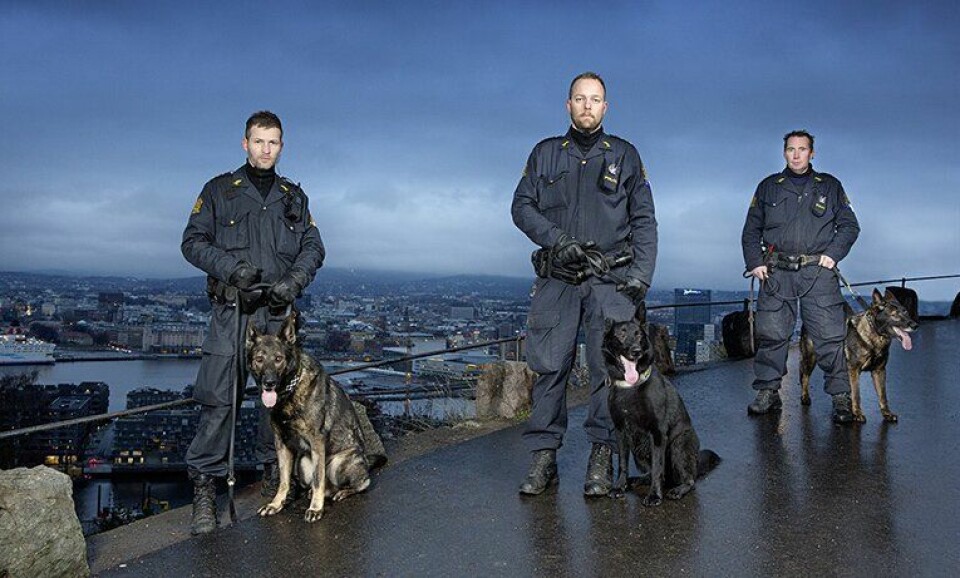 Kristian, Lars og Morten med hundene Nestor, Toffe og Blitz over Oslo by. De er klare for TV-skjermen fra mandag.