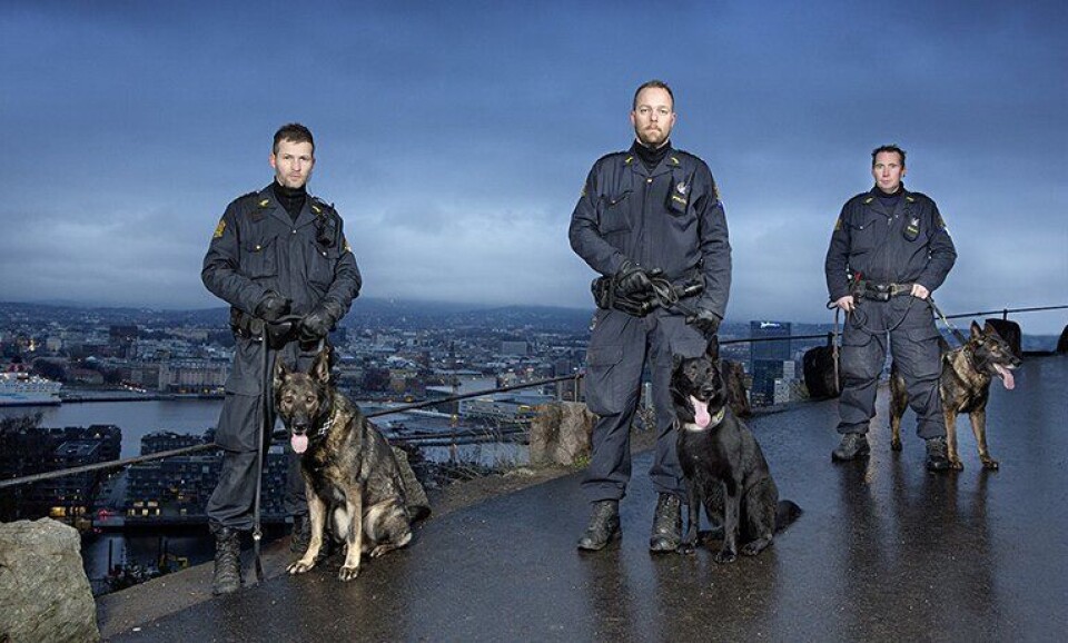 Kristian, Lars og Morten med hundene Nestor, Toffe og Blitz over Oslo by. De er klare for TV-skjermen fra mandag. Kristian, Lars og Morten med hundene Nestor, Toffe og Blitz over Oslo by. De er klare for TV-skjermen fra mandag.
