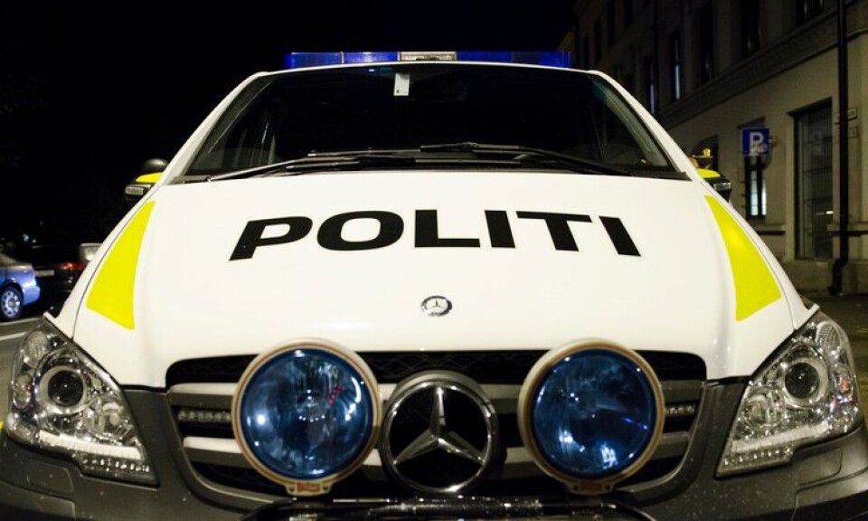 Er denne bilen blant de de vanligste i politiet? Se listen nederst i saken.