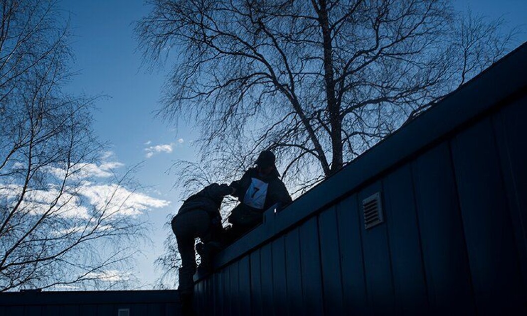 Seleksjonen før livvaktudanningen starter for fullt er inne i siste fase på PHS på Kongsvinger. Studentene er gjennom harde prøvelser. Seleksjonen før livvaktudanningen starter for fullt er inne i siste fase på PHS på Kongsvinger. Studentene er gjennom harde prøvelser.