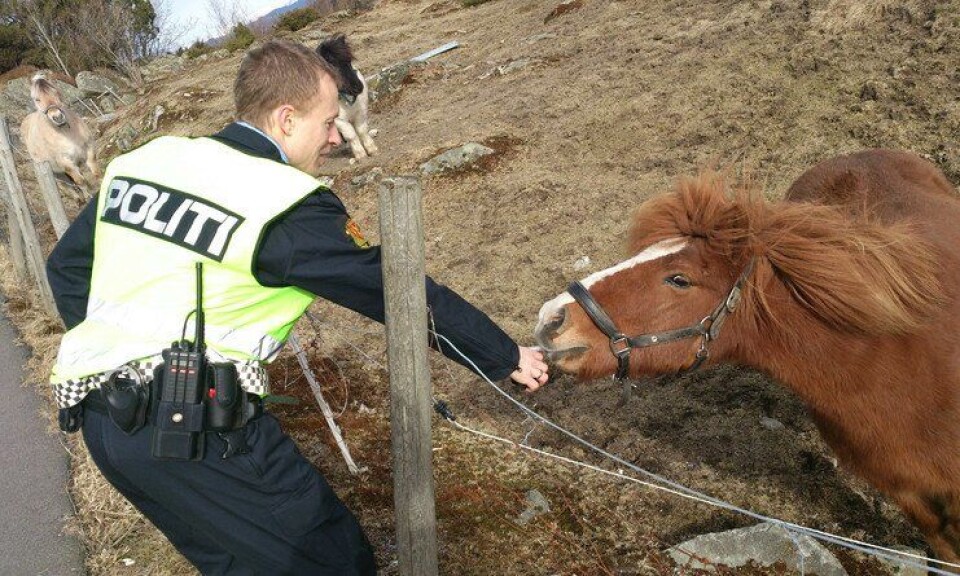 Politiet får større ansvar for dyrenes velferd når dyrepoliti testes ut. Her er møtes dyr og politi ved en tidligere anledning.