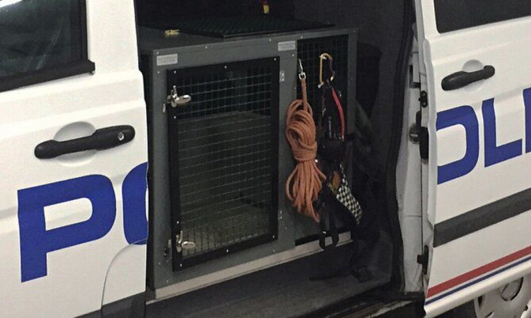 For de firbeinte: Hundebil finnes ikke i Bodø. Dette er den midlertidige løsning. For de firbeinte: Hundebil finnes ikke i Bodø. Dette er den midlertidige løsning.