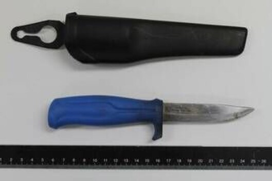 Kniv.jpg Kniv.jpg