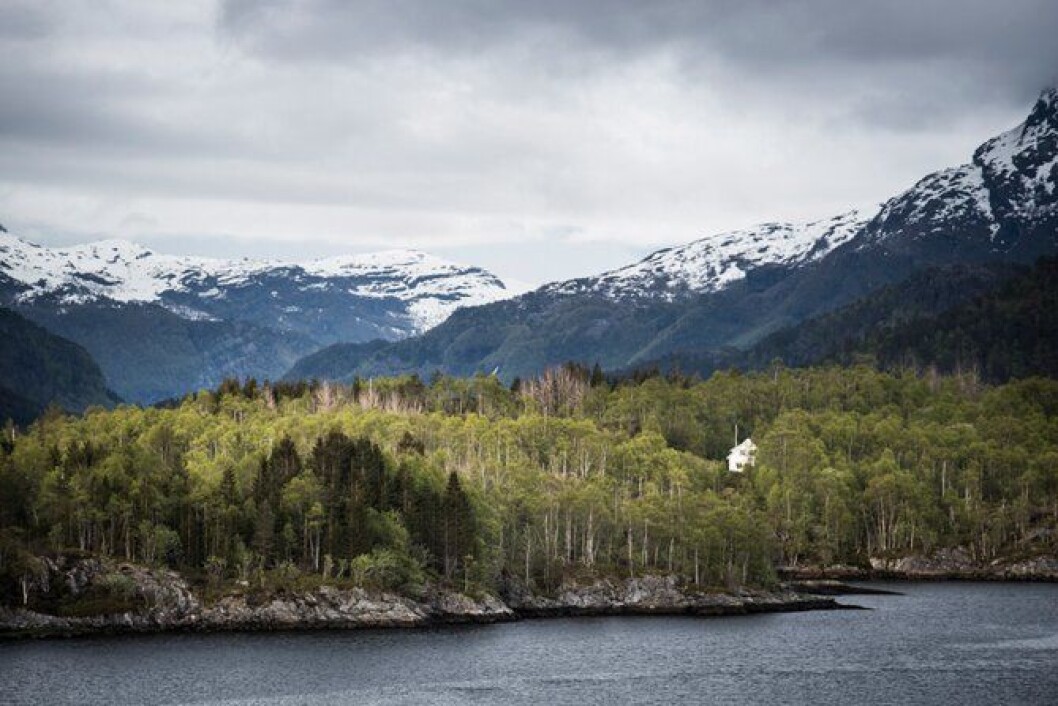 I skoger, mellom fjell og innerst i fjorder bor det folk. Vil nærpolitireformen bidra til at lokalkjennskapen ivaretas i politiet? I skoger, mellom fjell og innerst i fjorder bor det folk. Vil nærpolitireformen bidra til at lokalkjennskapen ivaretas i politiet?