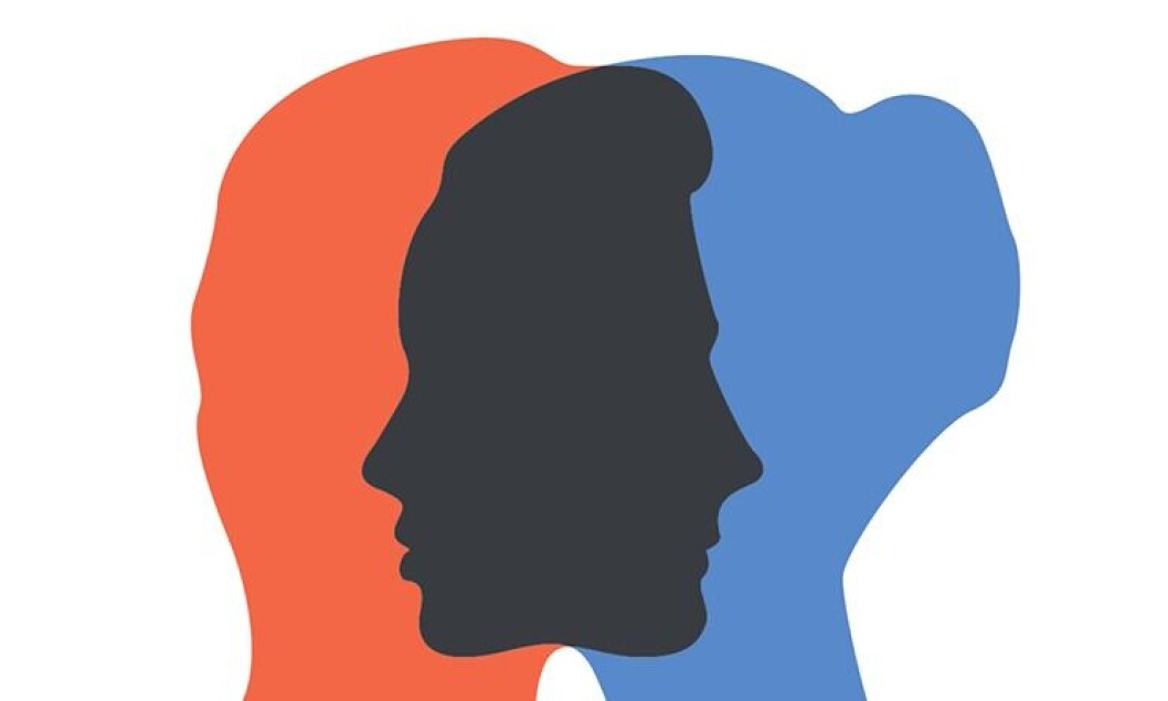 Hvilken rolle velger lederen å innta? Det har innvirkning i reformarbeidet. Hvilken rolle velger lederen å innta? Det har innvirkning i reformarbeidet.