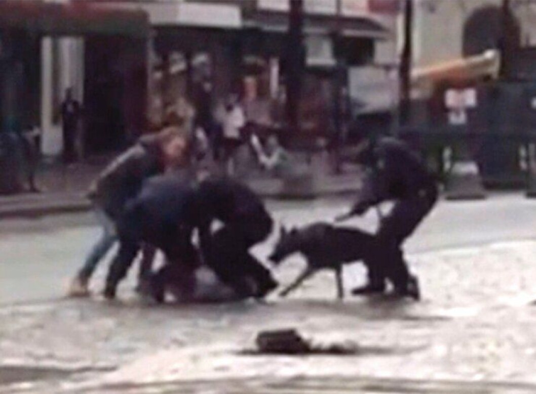 Scenen som utspilte seg under pågripelsen som fant sted på Trondheim Torg 14. april. Scenen som utspilte seg under pågripelsen som fant sted på Trondheim Torg 14. april.