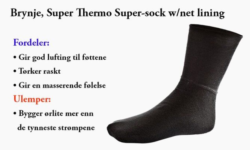 Skoisommervarmen3.jpg