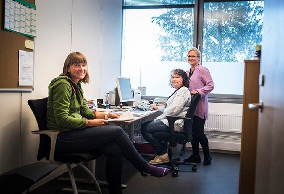 Usikre: Vivian Kristiansen, Karianne Mørch og Anne Grete Rolfsrud jobber på Forvaltningsseksjonen i Drammen. Politireformen foreslår at arbeidsoppgavene til en av dem skal fjernes fra politiet, men de tre vet svært lite om hva framtiden vil bringe.