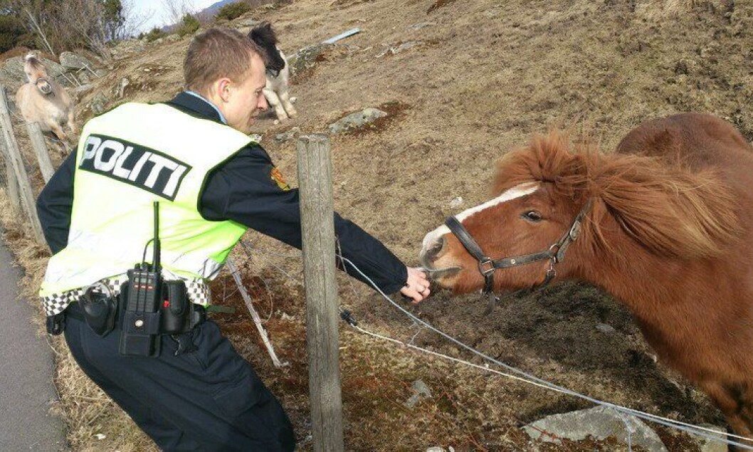 Politiet skal sørge for bedre forhold for dyrene også i Rogaland, når dyrepolitiet utvides. Politiet skal sørge for bedre forhold for dyrene også i Rogaland, når dyrepolitiet utvides.