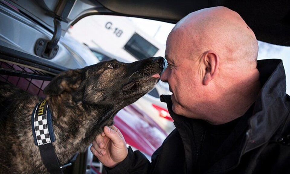 Nå er Kai Iversen og hans siste tjenestehund Trixxi begge pensjonistsnuter. Nå er Kai Iversen og hans siste tjenestehund Trixxi begge pensjonistsnuter.