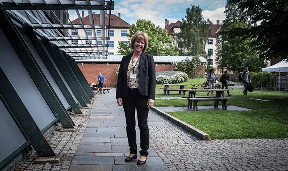 Kari Lynne trekker seg som leder av bevæpningsutvalget, en drøy måned etter at de startet arbeidet.