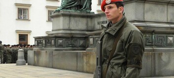 Politiet i Østerrike får hjelp til ambassadevakthold