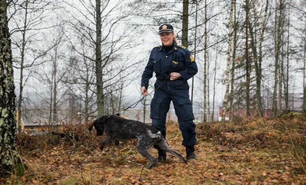 Ingrid Eidstumo har hunden Carlsen ved sin side, som fagkoordinator for hundetjenesten. Ingrid Eidstumo har hunden Carlsen ved sin side, som fagkoordinator for hundetjenesten.