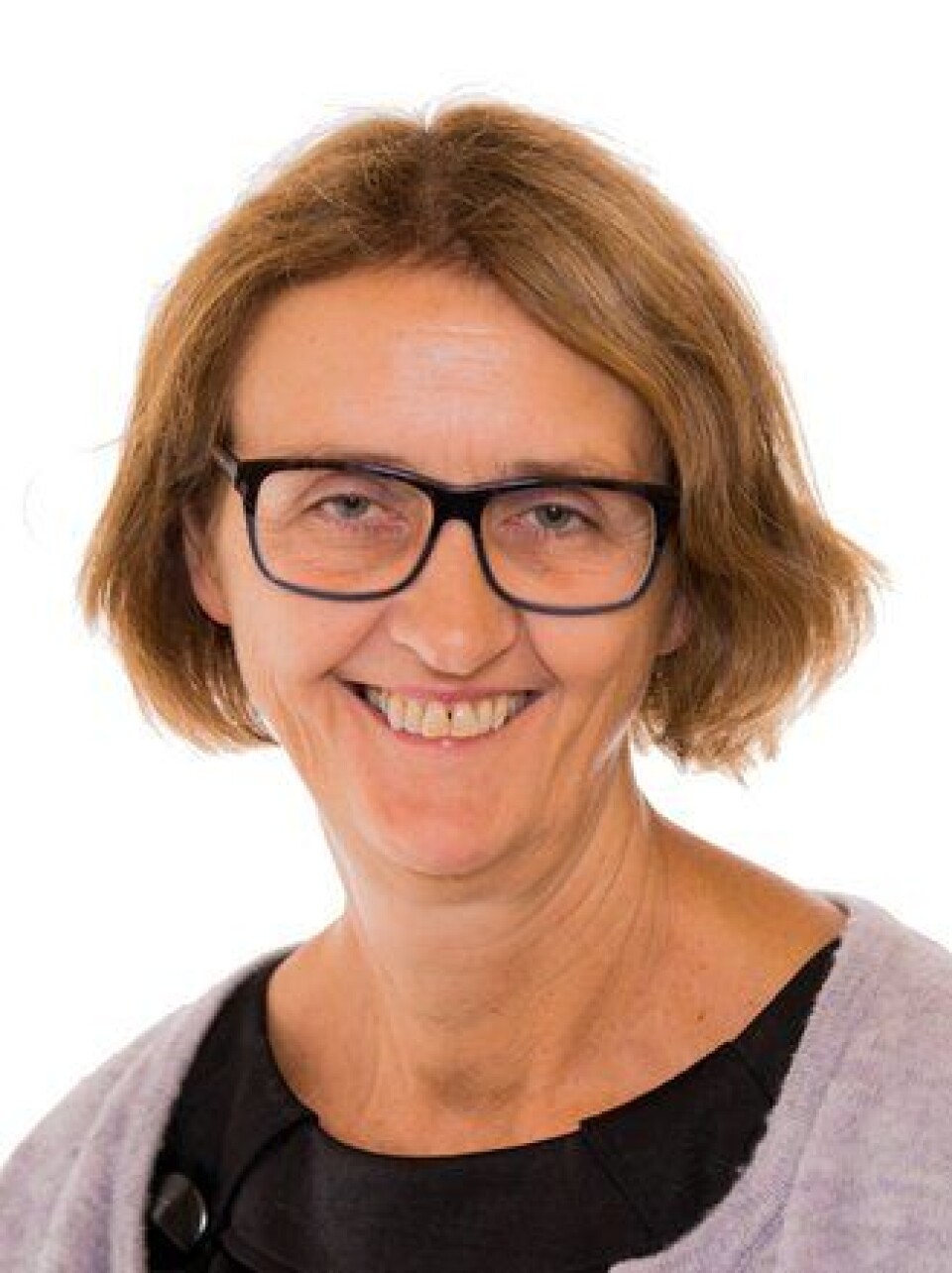 Kari Henriksen, Arbeiderpartiet