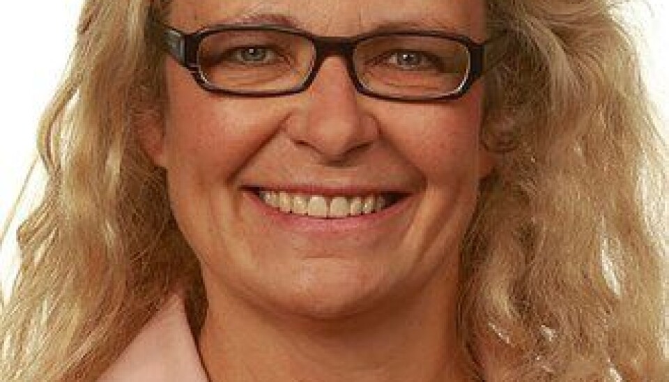 Ruth Grung fra Arbeiderpartiet.