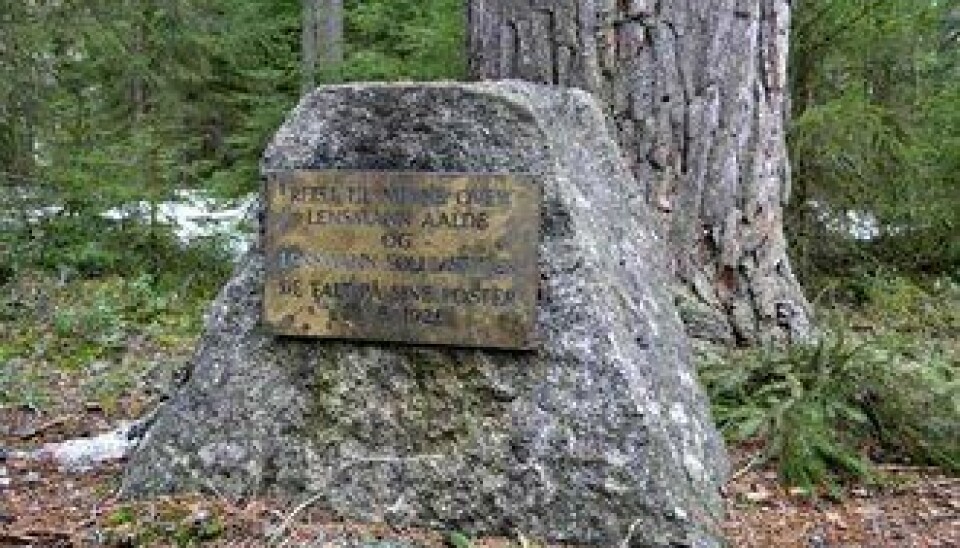 Minnestedet etter lensmannsdrapene i 1926.