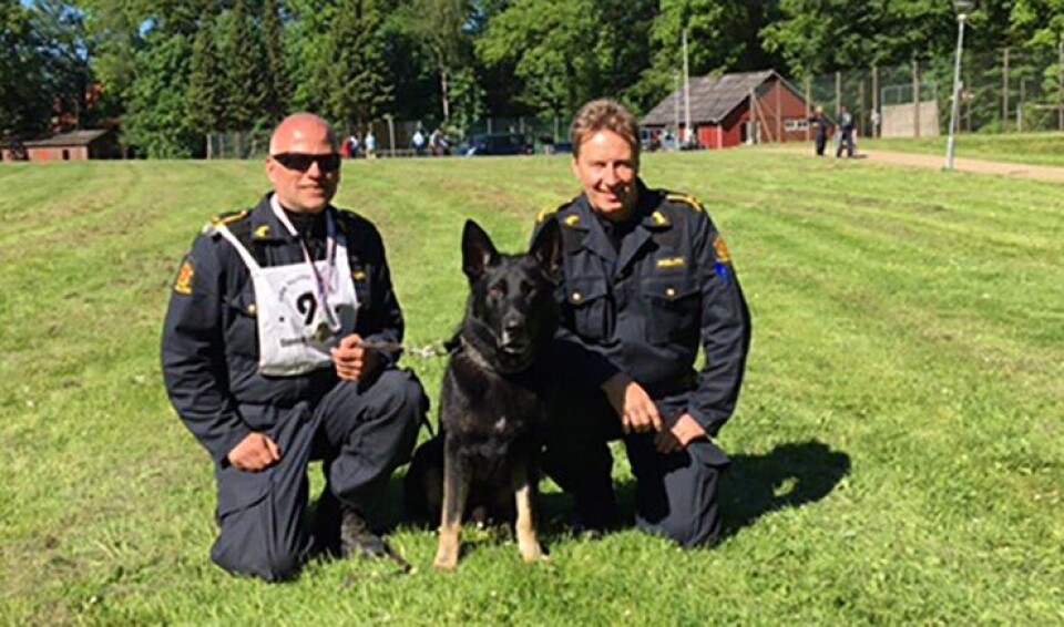 VANT IGJEN: Bjørn Rolland og politihunden Cooper vant igjen. Her er de under det nordiske mesterskapet i sommer da Møllers Cooper, som er hans fulle navn, og Rolland ble Nordens beste. Her er de sammen med seksjonsleder Gunnar Rasmussen. VANT IGJEN: Bjørn Rolland og politihunden Cooper vant igjen. Her er de under det nordiske mesterskapet i sommer da Møllers Cooper, som er hans fulle navn, og Rolland ble Nordens beste. Her er de sammen med seksjonsleder Gunnar Rasmussen.