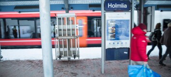 Opposisjonen kan tvinge fram permanent politi på Holmlia: – Trenger lokalpoliti i byen