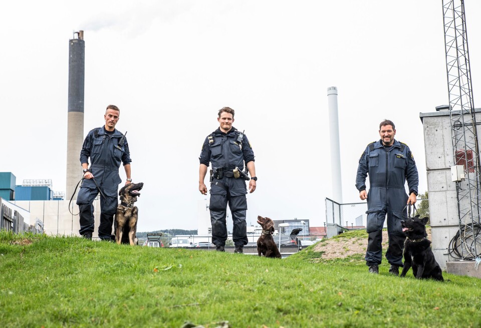 Hundeførerne Kristian Skaarud med Wango, Kristian Daniel Olsen med Lola og Svein Magnus Sønstelid med Qrim utenfor hundetjenesten i Oslo. Hundeførerne Kristian Skaarud med Wango, Kristian Daniel Olsen med Lola og Svein Magnus Sønstelid med Qrim utenfor hundetjenesten i Oslo.
