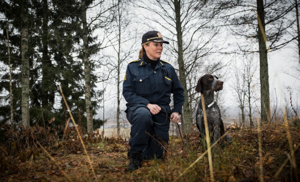 Ingrid Eidstumo er fagleder for hund ved Politihøgskolen, som nå får ansvaret for å kjøpe inn hunder til politiet.
