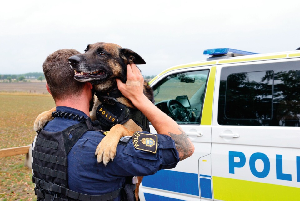 EKTE KJÆRLIGHET: HundeførerMartin er lettet over at det gikk så bra som det gikk etter at politihunden Django ble knivstukket. Mot alle odds er Django nå tilbake i tjeneste. EKTE KJÆRLIGHET: HundeførerMartin er lettet over at det gikk så bra som det gikk etter at politihunden Django ble knivstukket. Mot alle odds er Django nå tilbake i tjeneste.