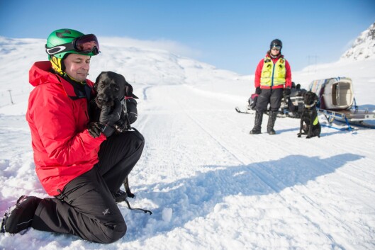 VENTETID: Politioverbetjent Bjørn Harald Breili venter på tur sammen med hunden Nemo. VENTETID: Politioverbetjent Bjørn Harald Breili venter på tur sammen med hunden Nemo.