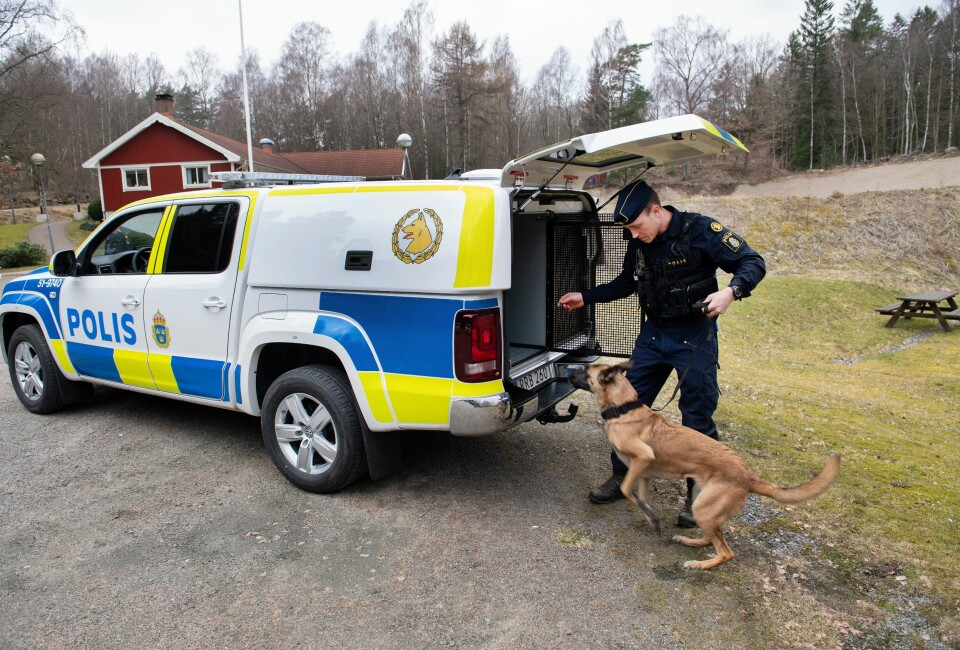 NYE BILER: Hundeburene i de svenske politibilene ble kritisert for å være for små. Nå får svensk politi 300 nye hundebiler, til 224 millioner norske kroner.