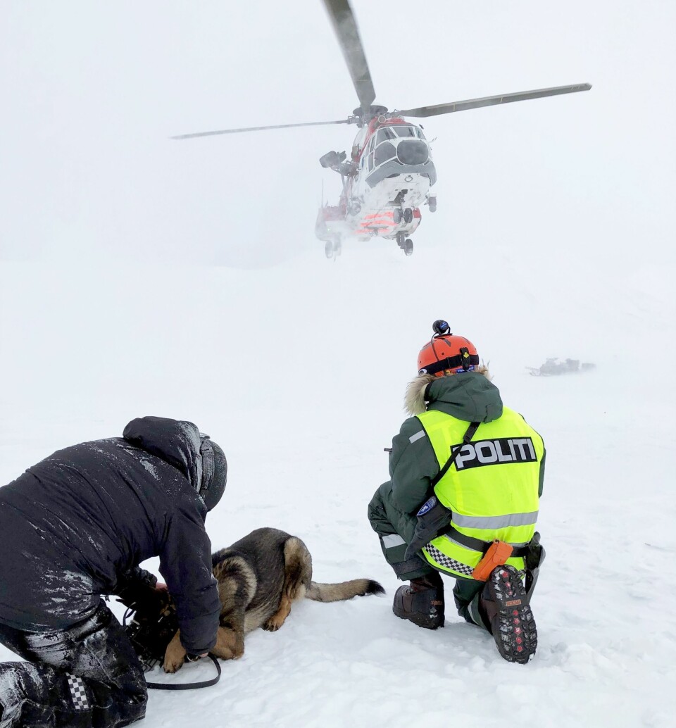 VÆRHARDT: På Svalbard fikk hundene prøve seg i all slags vær.
