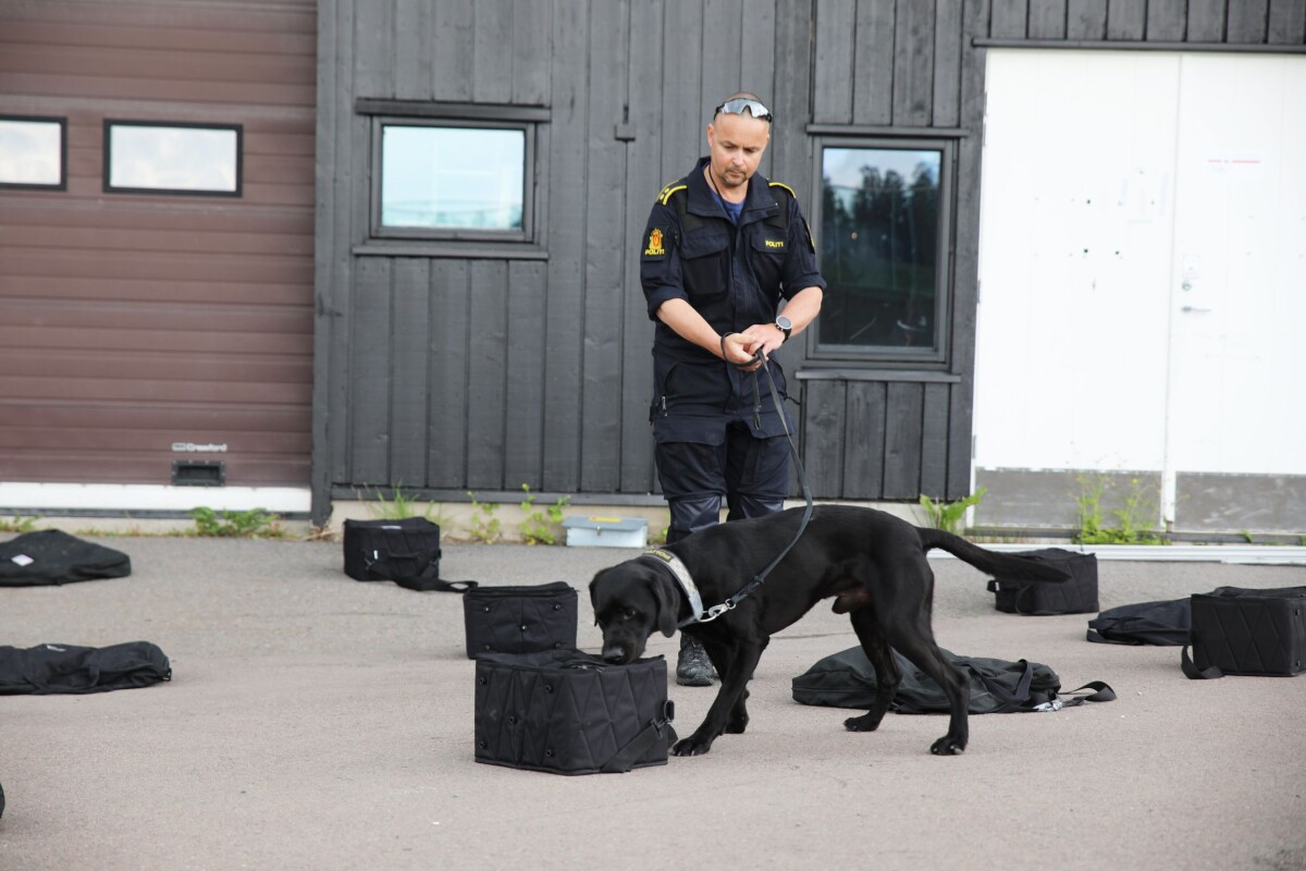 Sverige Vant Politihund mesterskapet P Holmenkollen Sverige Vant Politihund mesterskapet P Holmenkollen