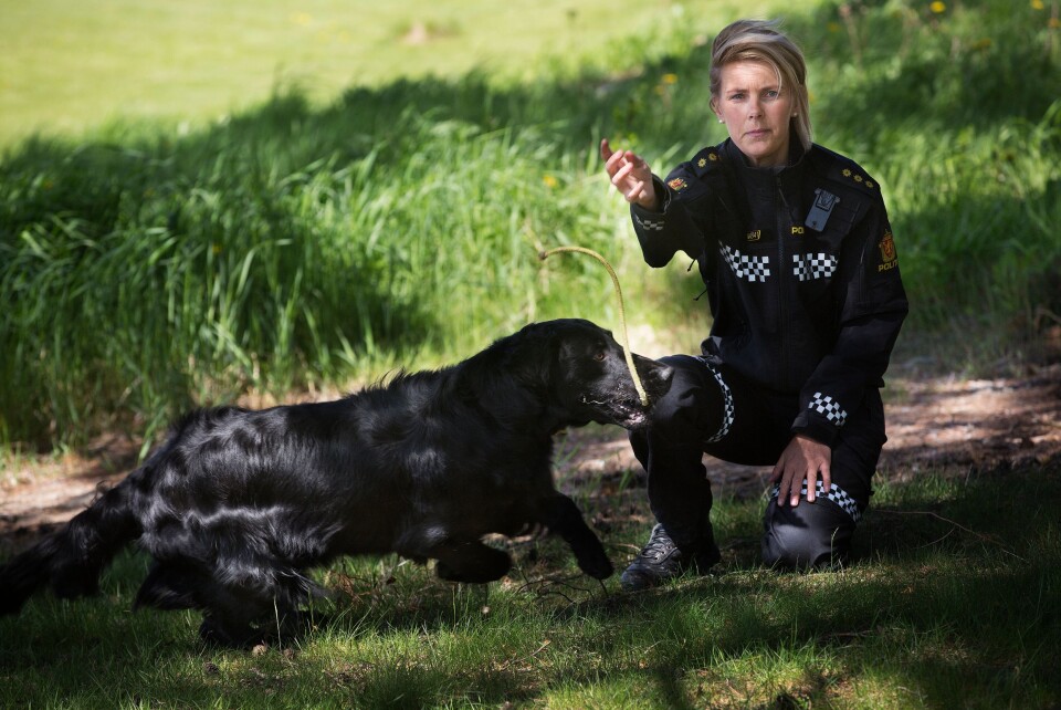 FÅR STØTTE: Kolleger har underskrevet et støtteskriv til Edvardsen. De påpeker blant annet de at ingen av dem har blitt spurt om å gi tilbakemeldinger på Edvardsen. FÅR STØTTE: Kolleger har underskrevet et støtteskriv til Edvardsen. De påpeker blant annet de at ingen av dem har blitt spurt om å gi tilbakemeldinger på Edvardsen.