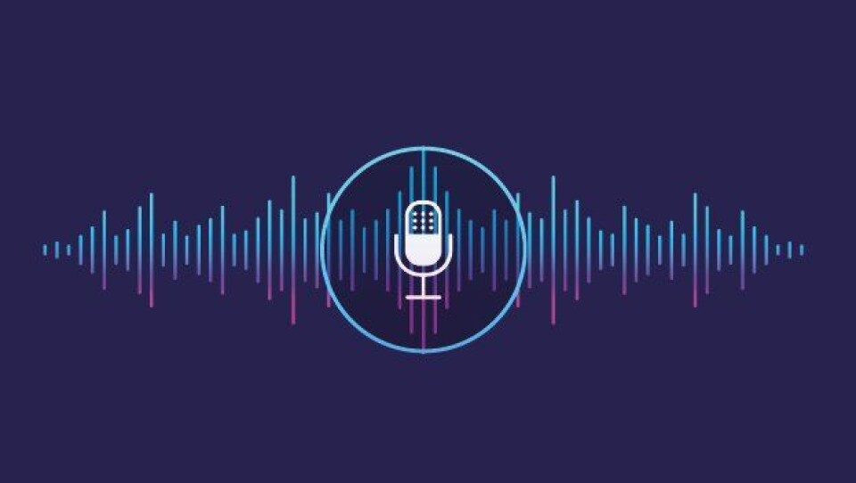Fikk telefonsamtale med mistenkt publisert på nett