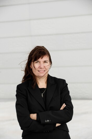 ØNSKER SPLEISELAG: Ellen Katrine Hætta, politimester i Finnmark. ØNSKER SPLEISELAG: Ellen Katrine Hætta, politimester i Finnmark.