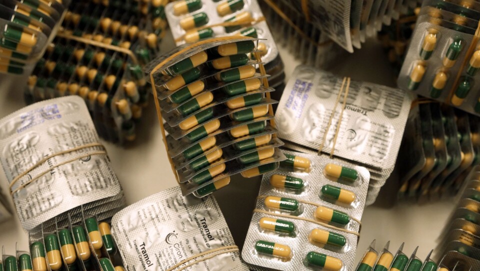 ILLEGALT MARKED: Tall fra Kripos viser en økning i beslag av det opioidholdige legemiddelet tramadol.
