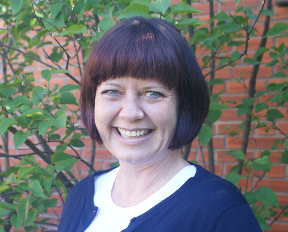 Birgitte Ellefsen, førsteamanuensis ved Politihøgskolen. Birgitte Ellefsen, førsteamanuensis ved Politihøgskolen.