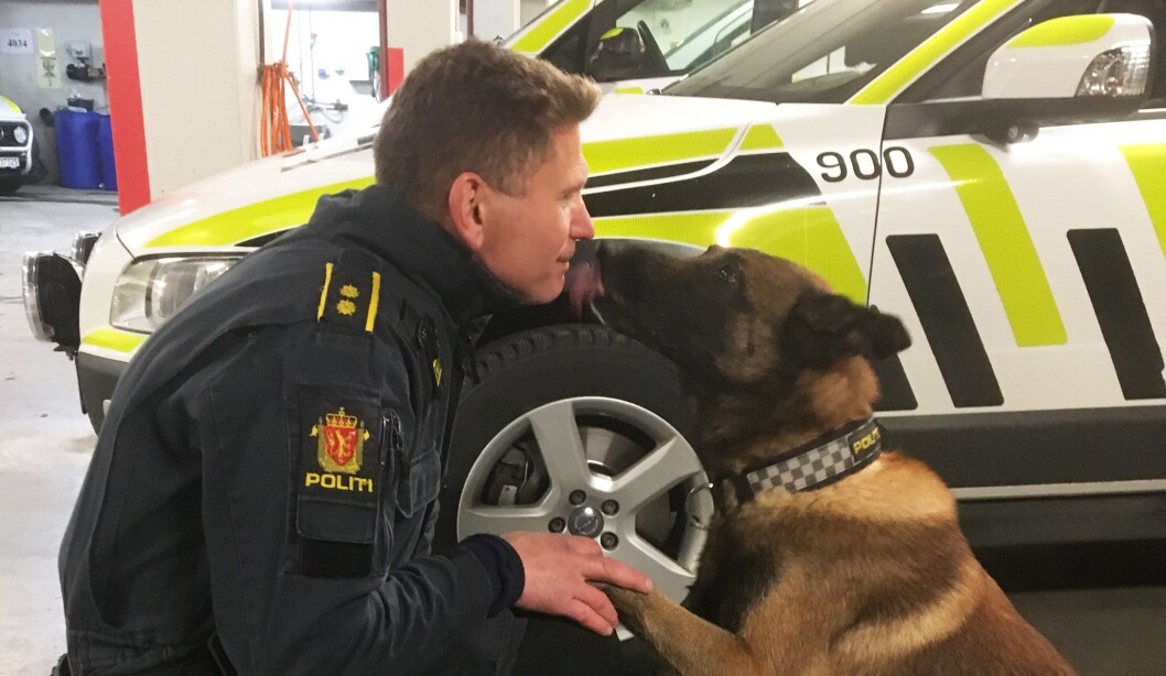 RADARPAR: Hundeførerspesialist Johan Sund Eliassen og malinoisen Eos (10,5) har vært et team i mange år. Selv om Eos egentlig er over pensjonsalder, er paret klare for to nye år. RADARPAR: Hundeførerspesialist Johan Sund Eliassen og malinoisen Eos (10,5) har vært et team i mange år. Selv om Eos egentlig er over pensjonsalder, er paret klare for to nye år.