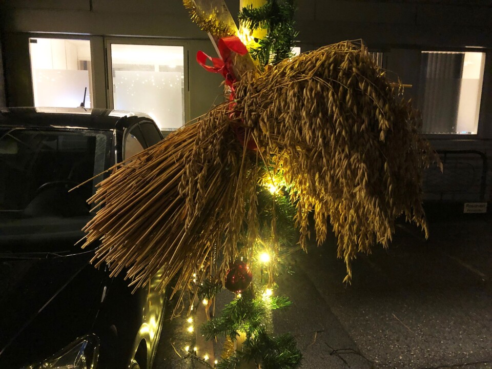 JULENEK: Juleparkeringen har også noe godt for småfuglene. JULENEK: Juleparkeringen har også noe godt for småfuglene.