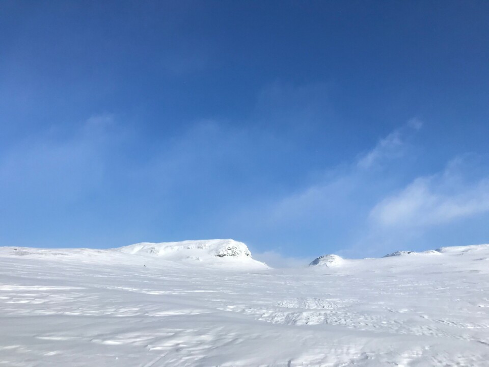 UTSIKT: Holken, rett etter Litlos.