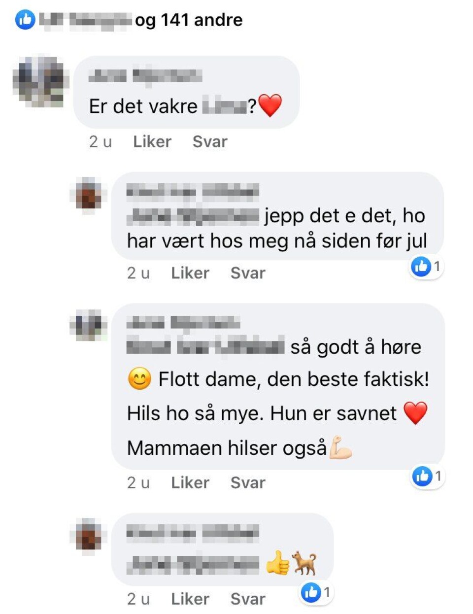 VAR OMPLASSERT: Faglederen i Innlandet politidistrikt bekrefter at hunden er tilbake i politidistriktet. VAR OMPLASSERT: Faglederen i Innlandet politidistrikt bekrefter at hunden er tilbake i politidistriktet.