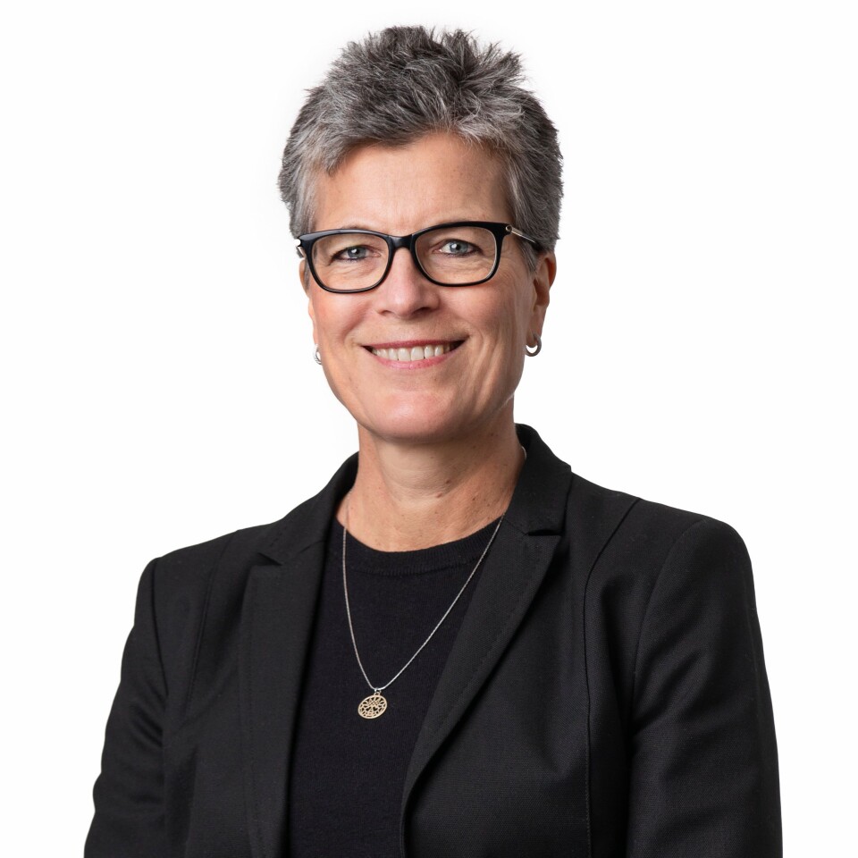 Inger Marie Sunde, professor ved Politihøgskolen.