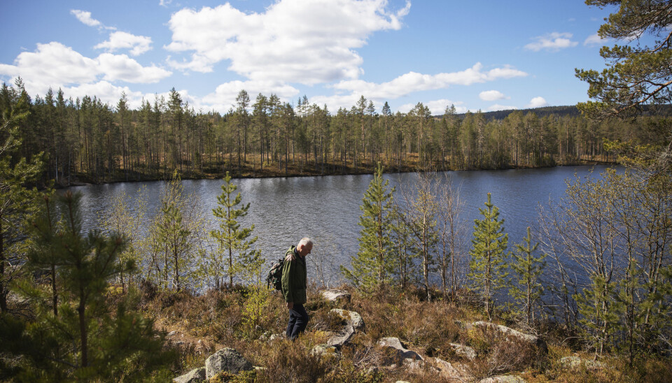 Foto: Thomas Haugersveen
