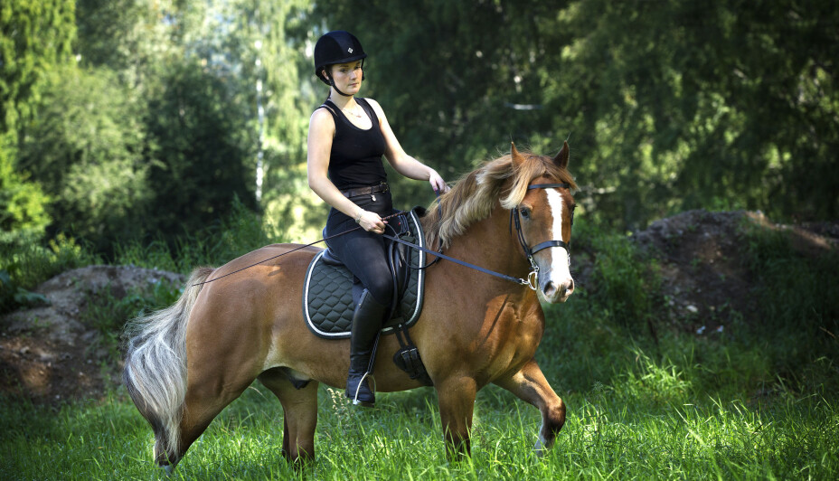 HEST ER BEST: – Jeg har kommet fram til at hesten er såpass viktig for meg at han selvfølgelig skal bli med på flyttelasset, sier Vilde. Dermed blir Bowie med til Stavern.