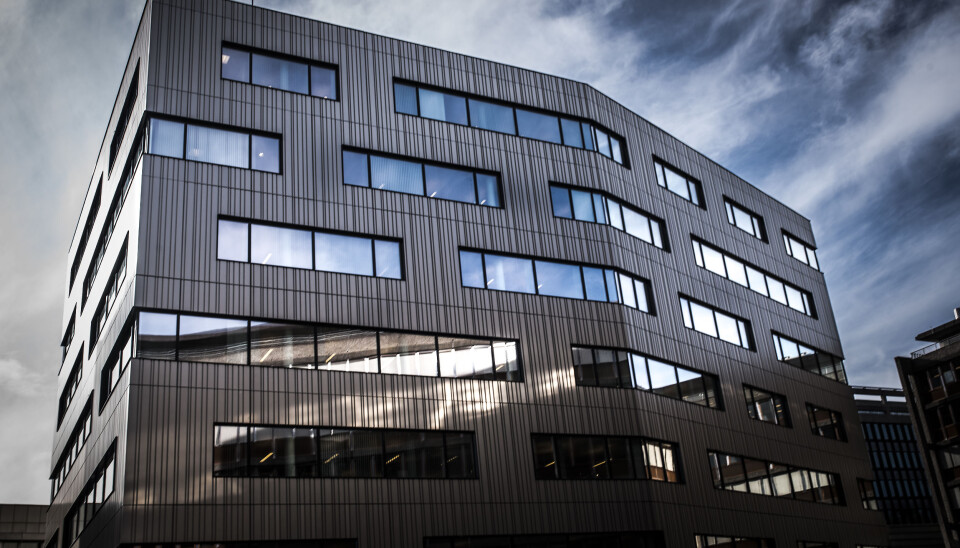 Disse vil bli ny IKT-direktør i politiet