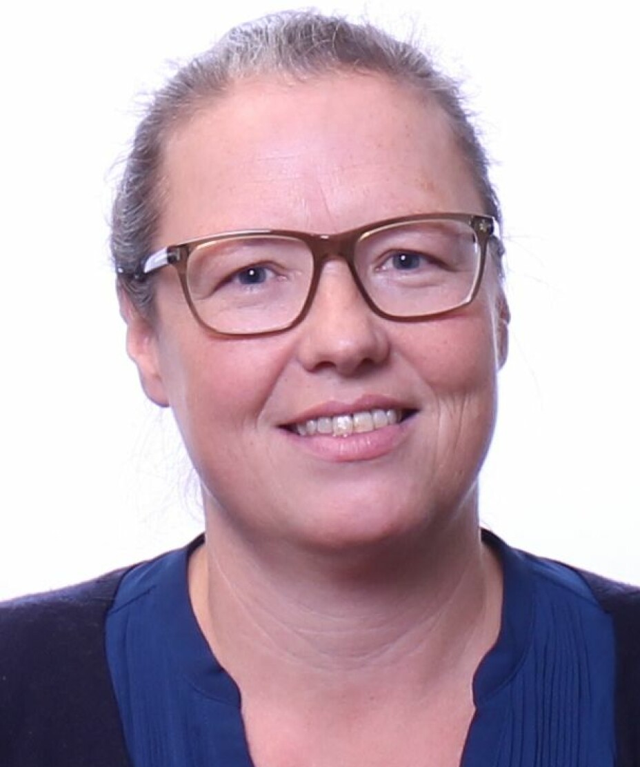 Brita Bjørkelo, professor ved Politihøgskolen.